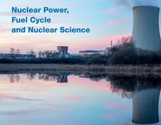 Nuclear Reactor Technology Development